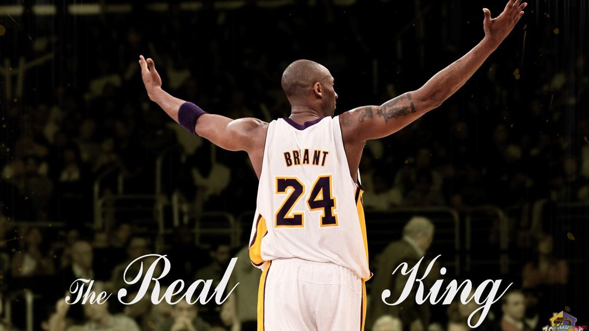 少儿篮球训练营,培养未来篮球天才,少儿篮球培训前景怎样